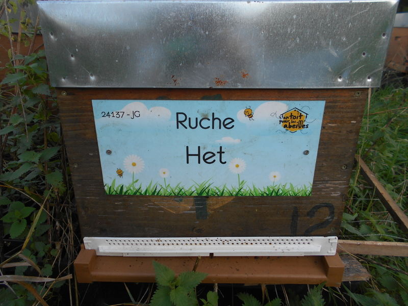 La ruche Het