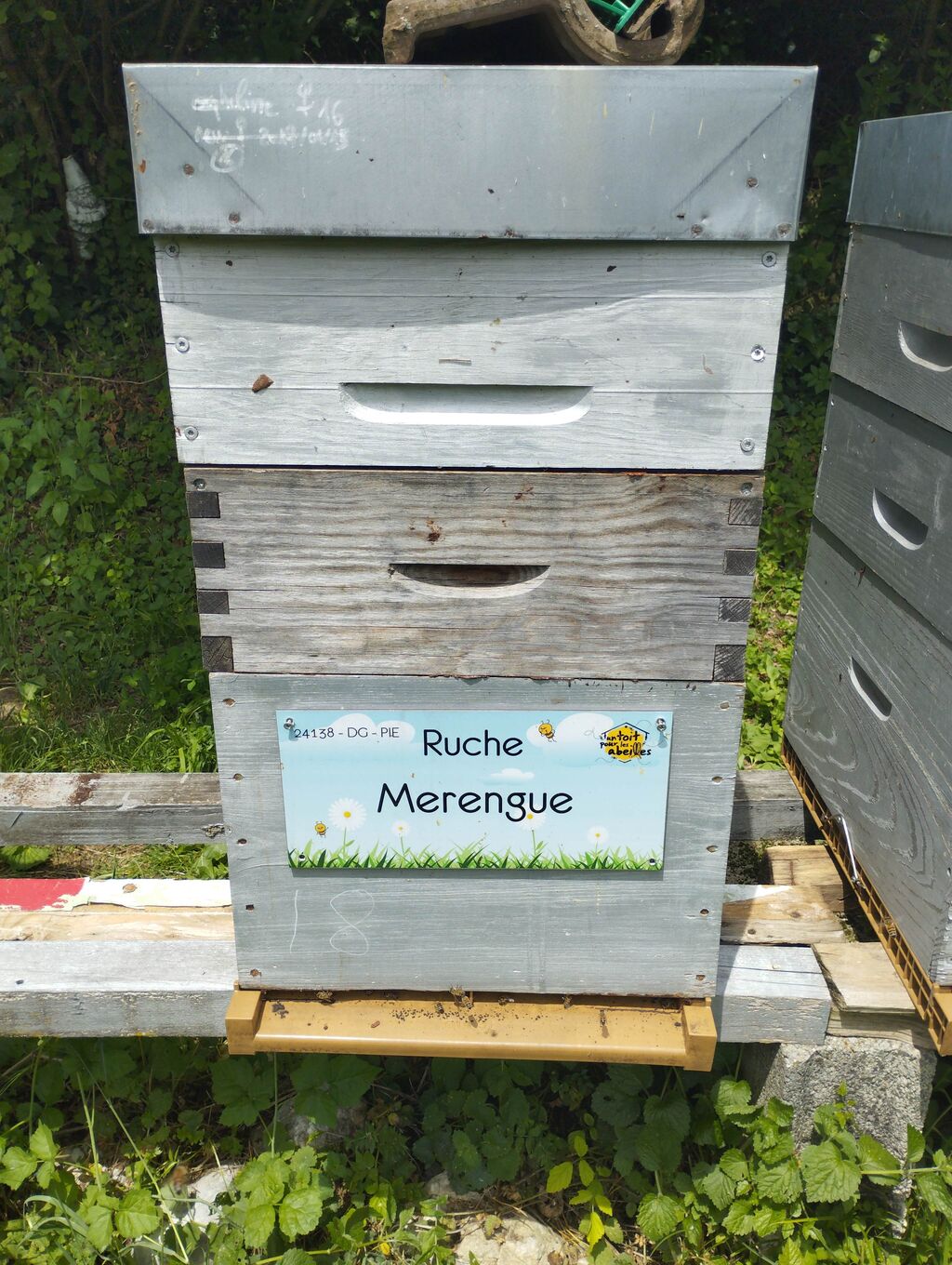 La ruche 