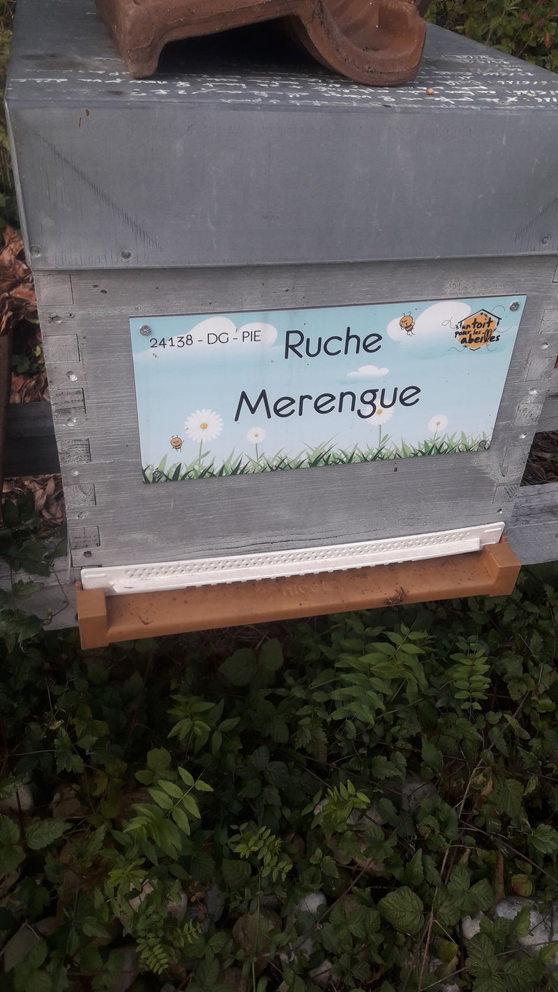 La ruche 