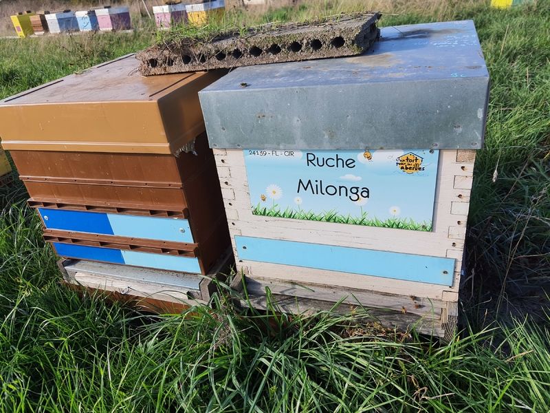 La ruche Milonga