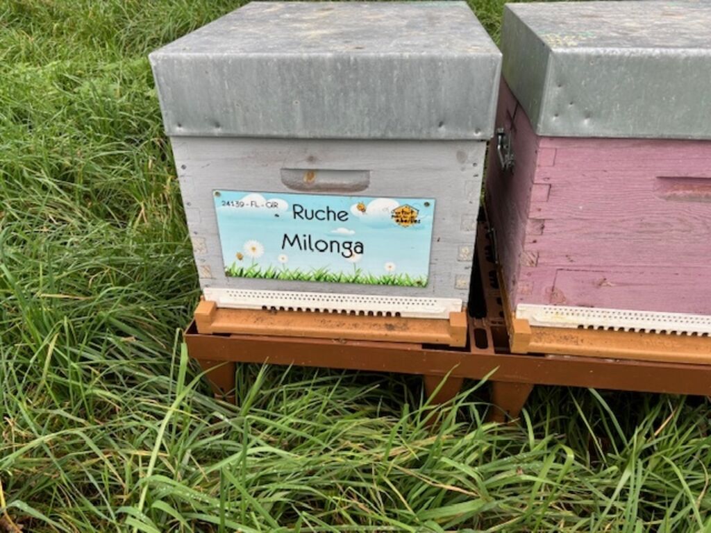 La ruche Milonga