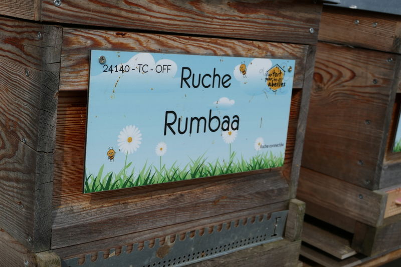 La ruche Rumbaa