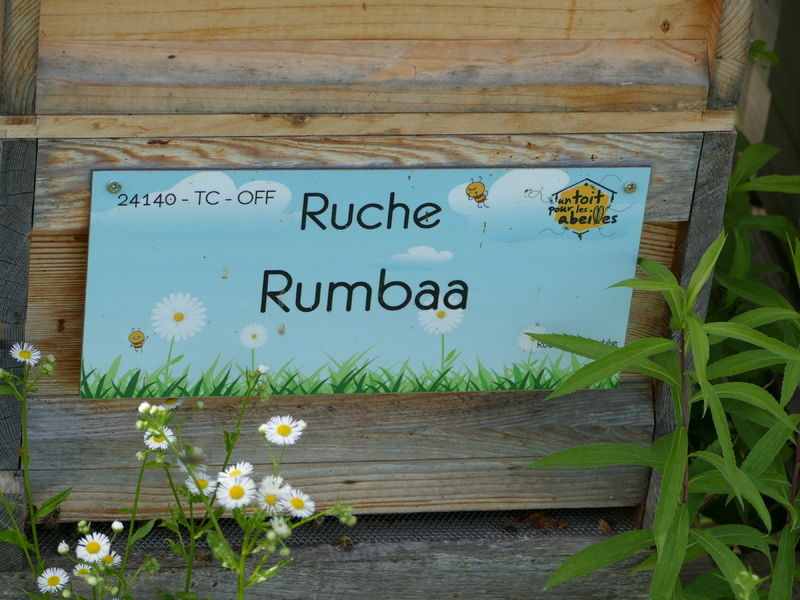 La ruche Rumbaa