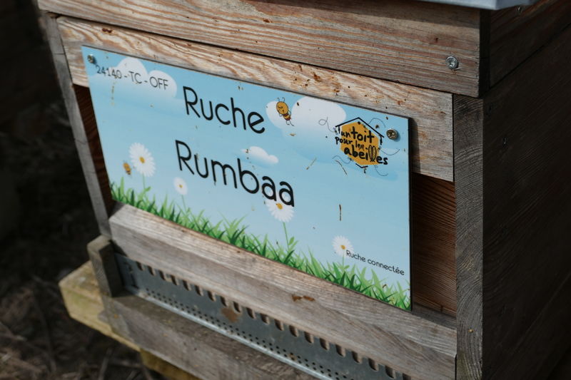 La ruche Rumbaa