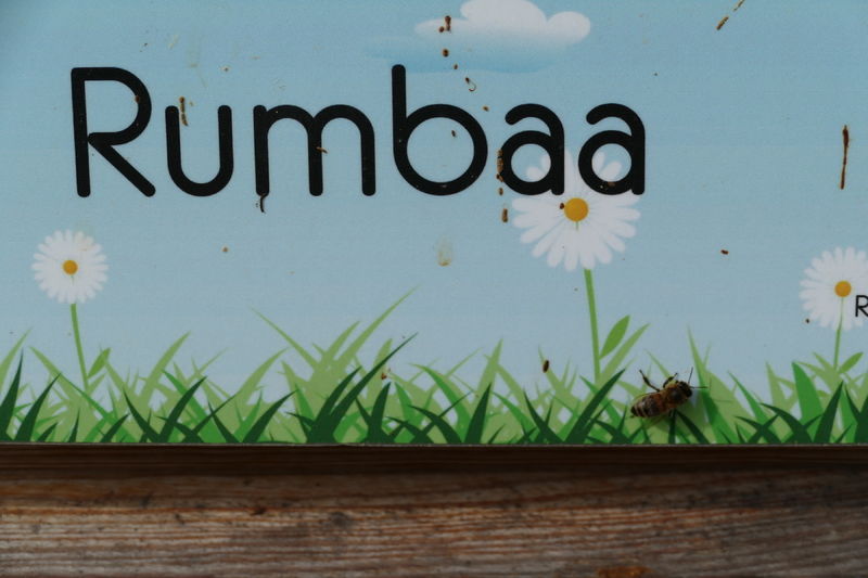 La ruche Rumbaa