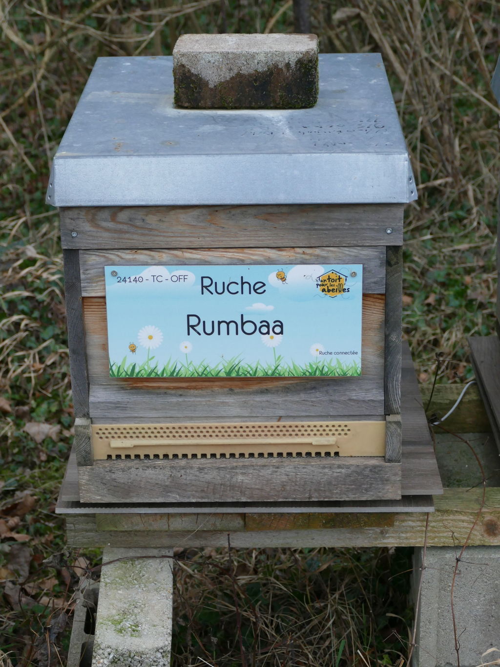 La ruche Rumbaa