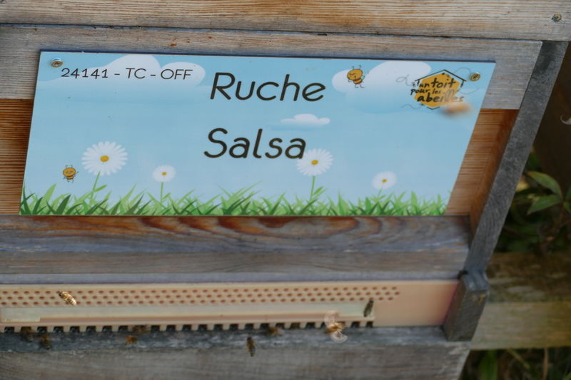 La ruche Salsa