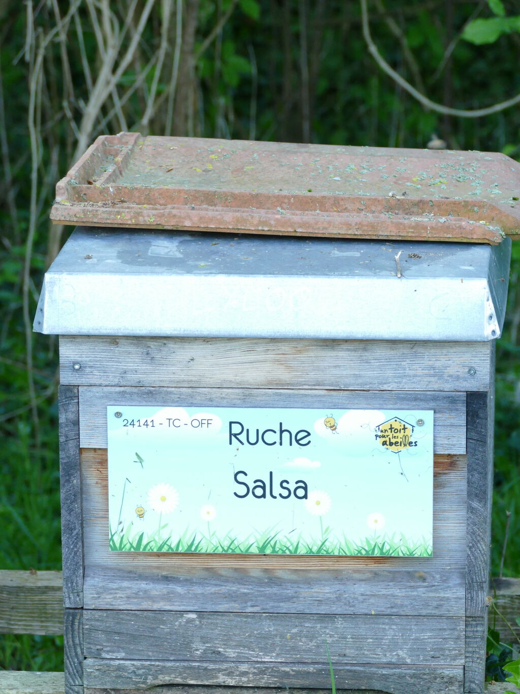 La ruche Salsa