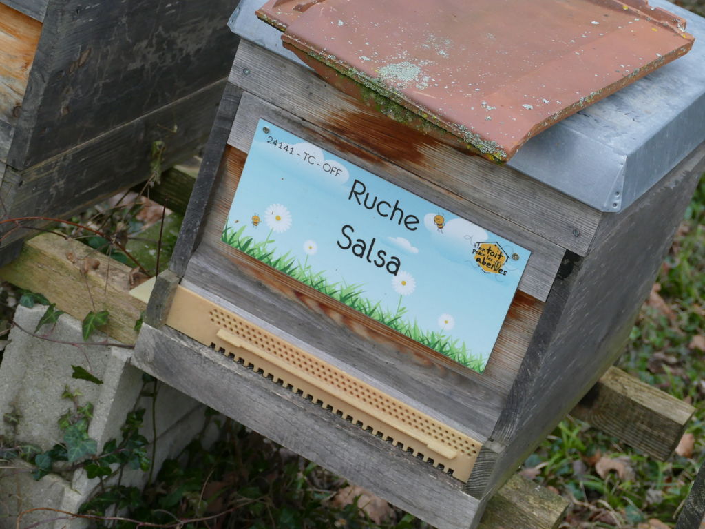 La ruche Salsa