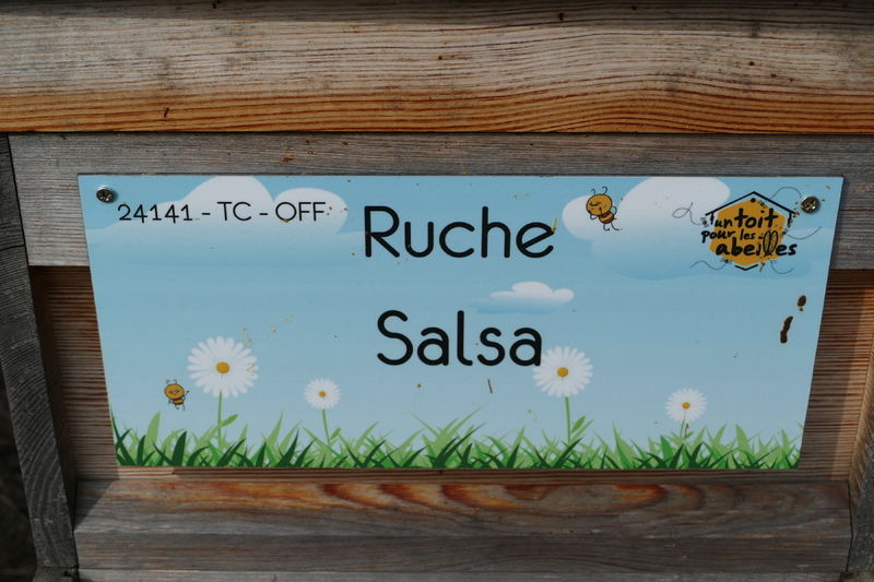 La ruche Salsa