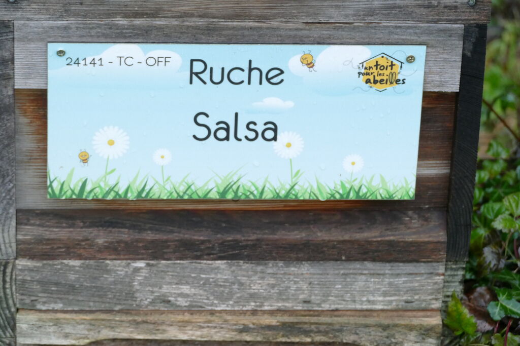 La ruche Salsa