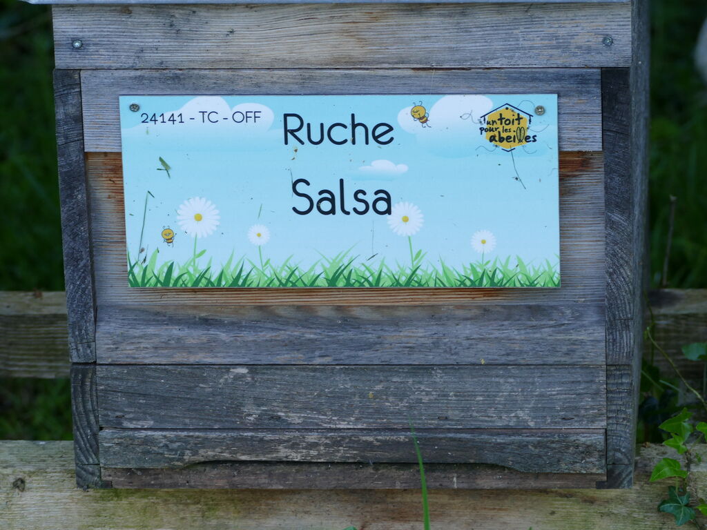 La ruche Salsa