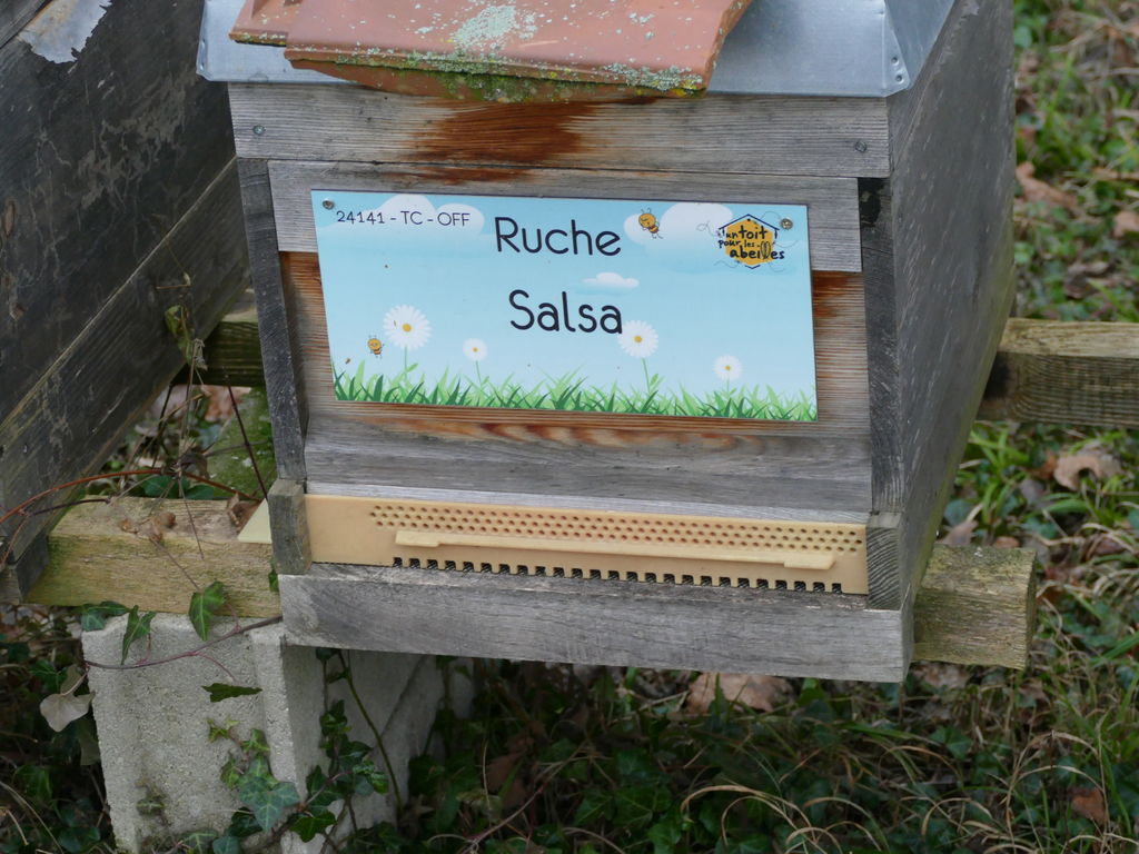 La ruche Salsa