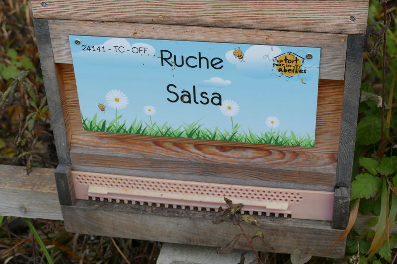 La ruche Salsa