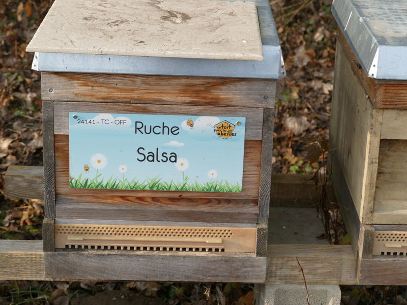 La ruche Salsa