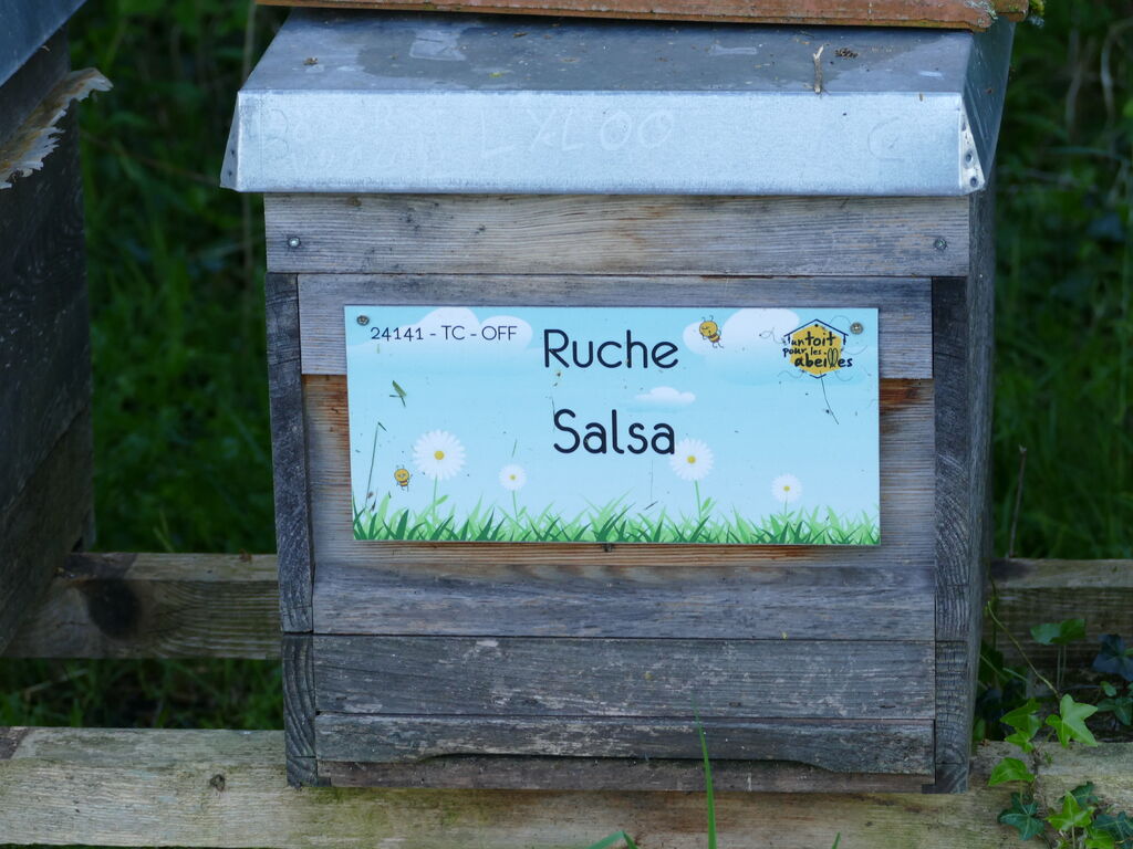 La ruche Salsa