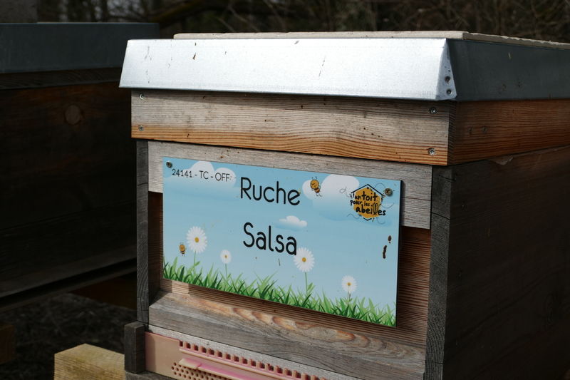 La ruche Salsa