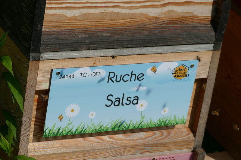 La ruche