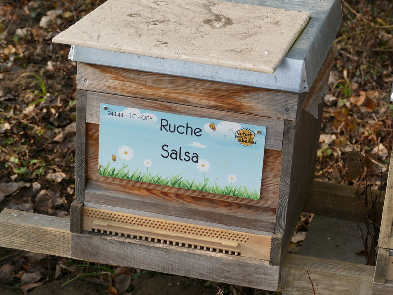 La ruche Salsa