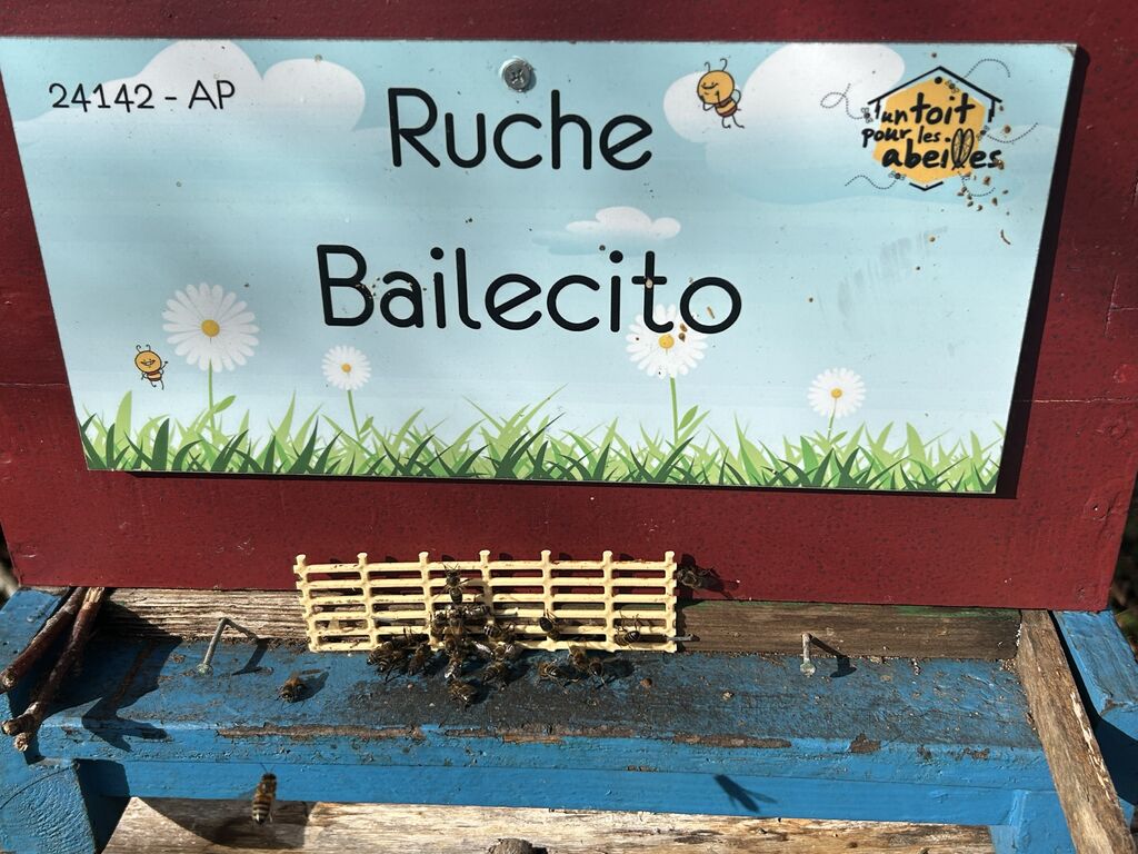 La ruche Bailecito