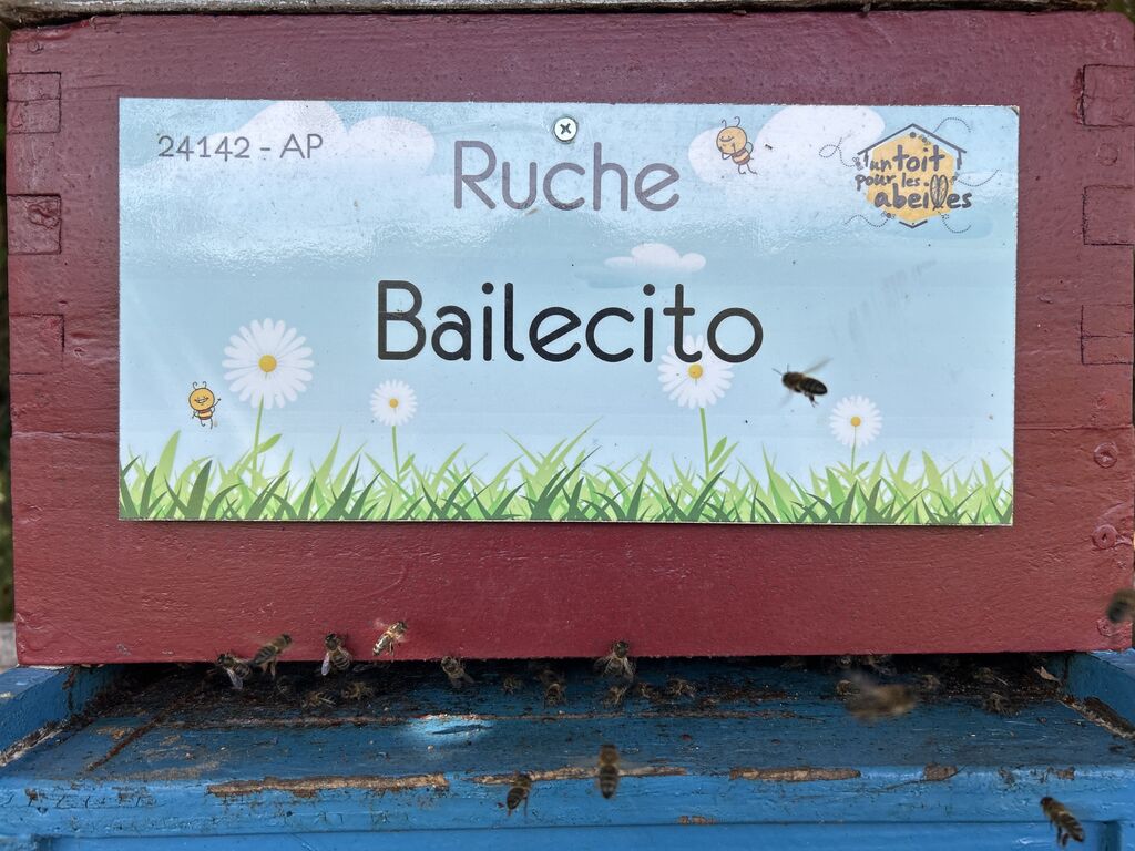 La ruche Bailecito