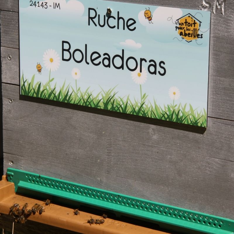 La ruche Boleadoras