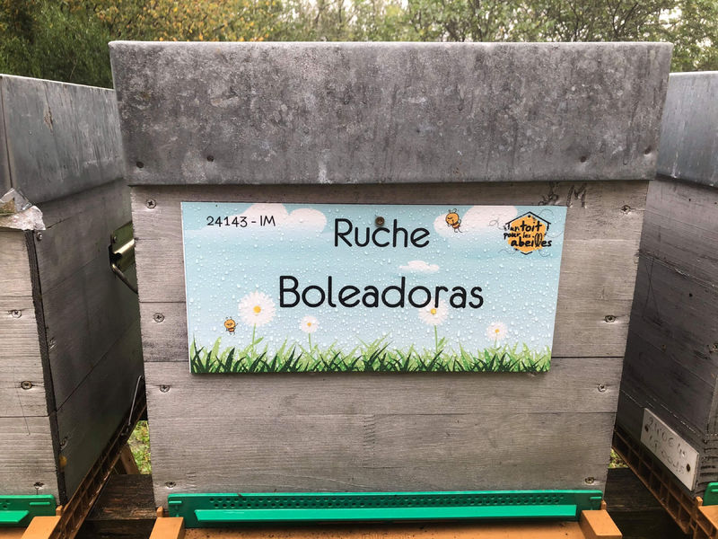 La ruche Boleadoras