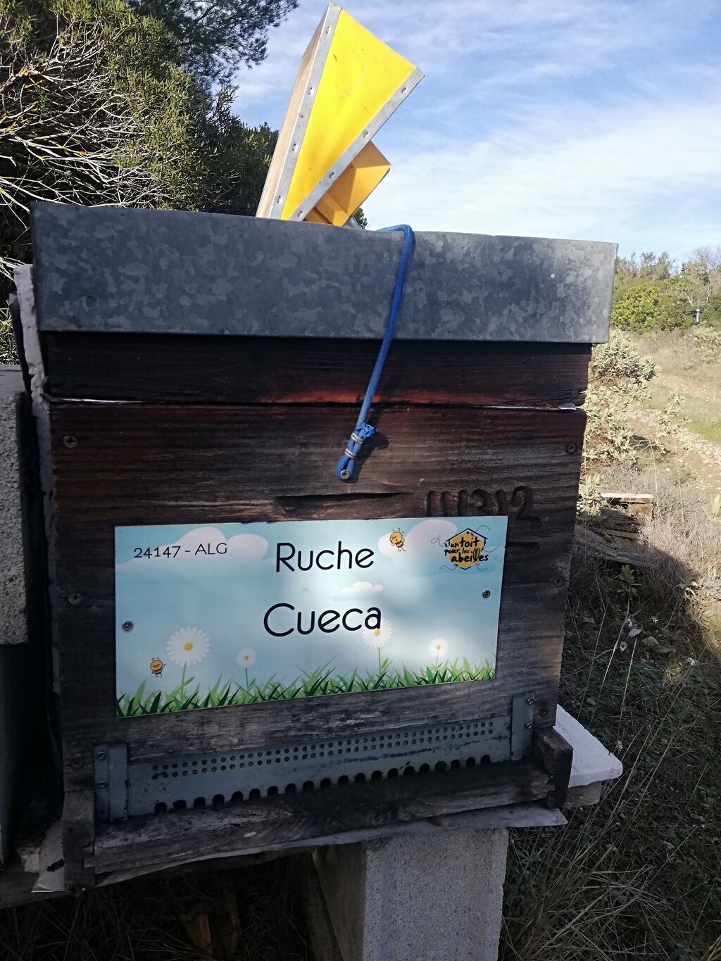 La ruche Cueca