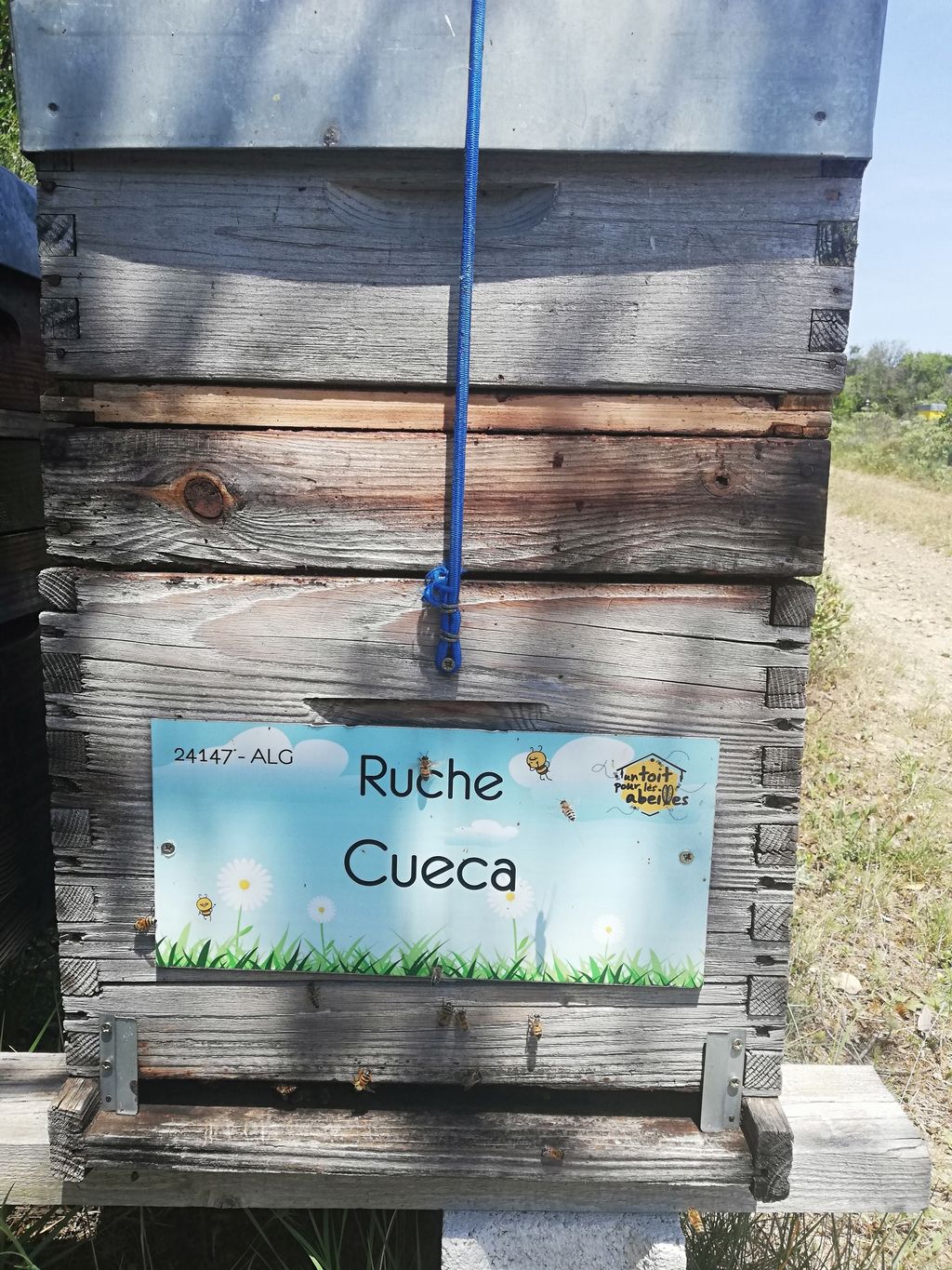 La ruche Cueca