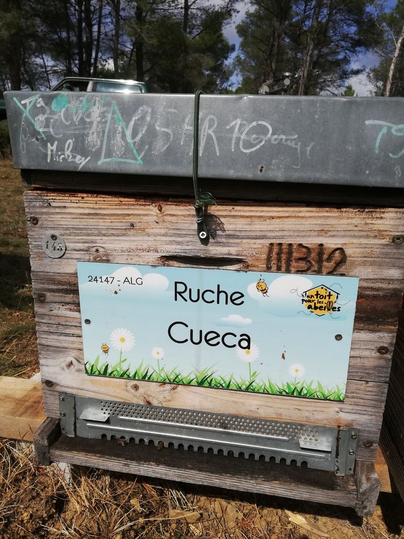 La ruche