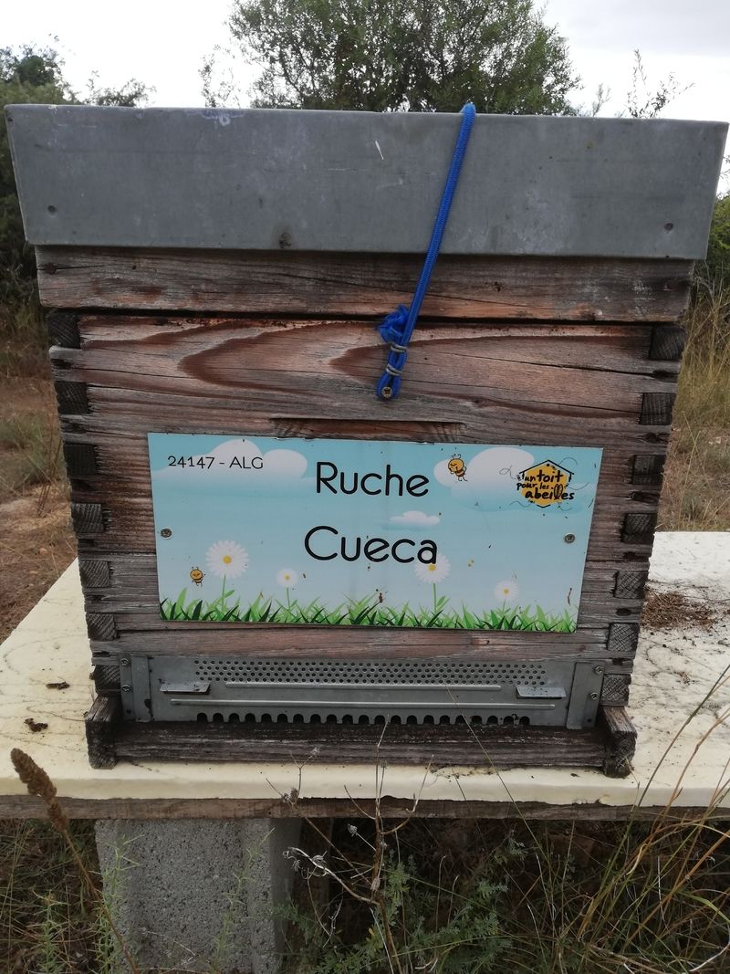 La ruche Cueca