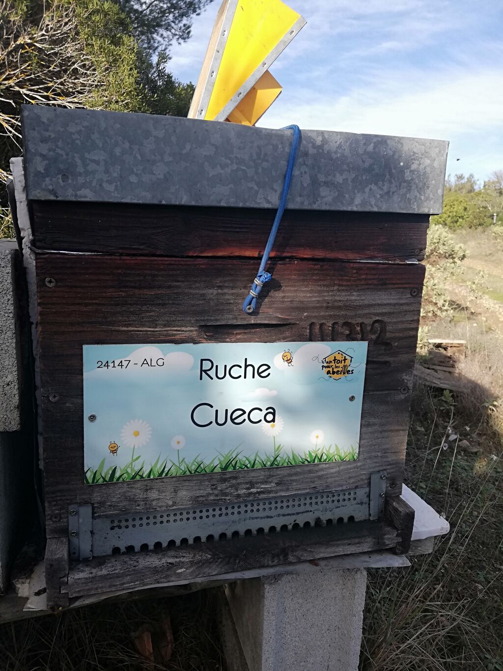 La ruche Cueca