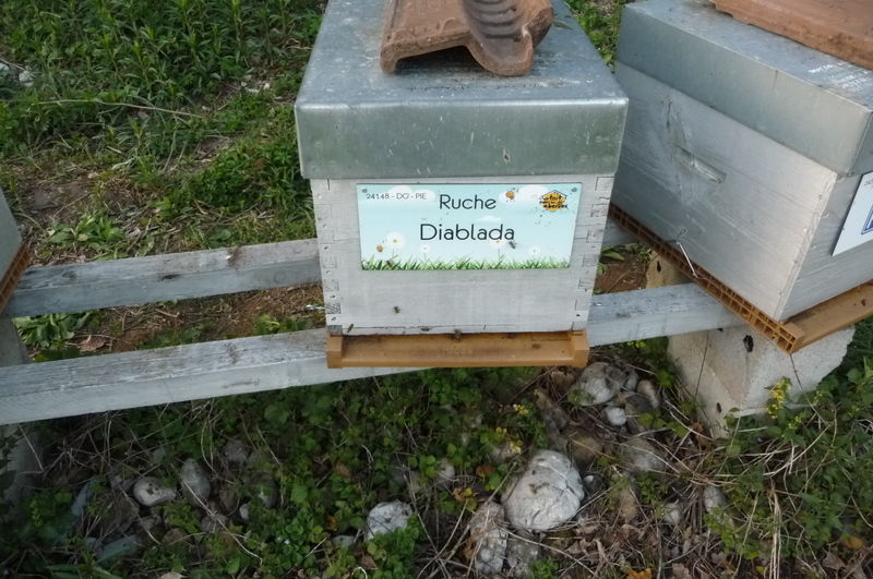 La ruche Diablada