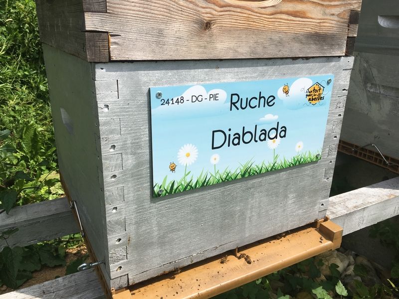 La ruche Diablada