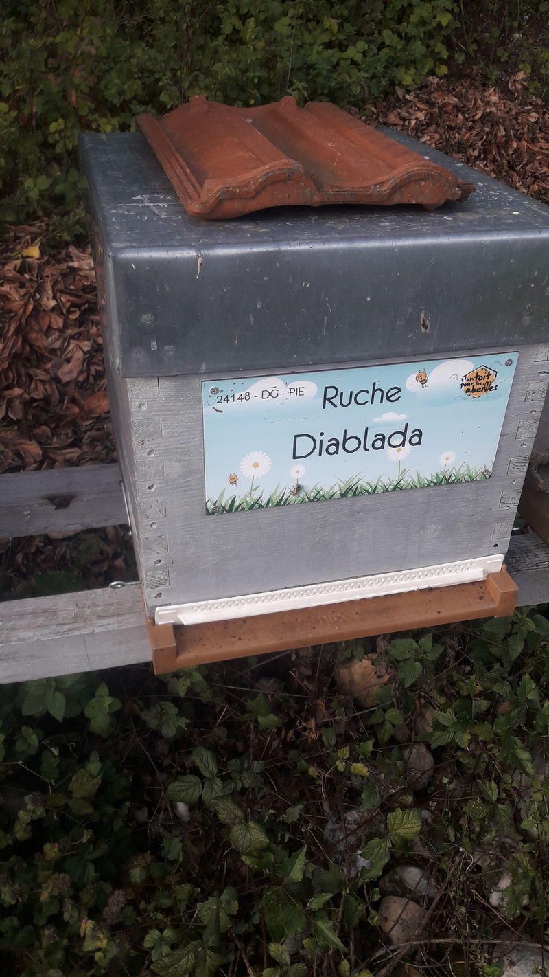 La ruche 