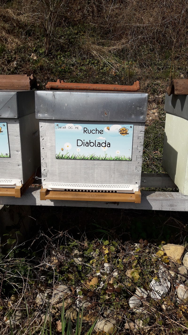 La ruche Diablada