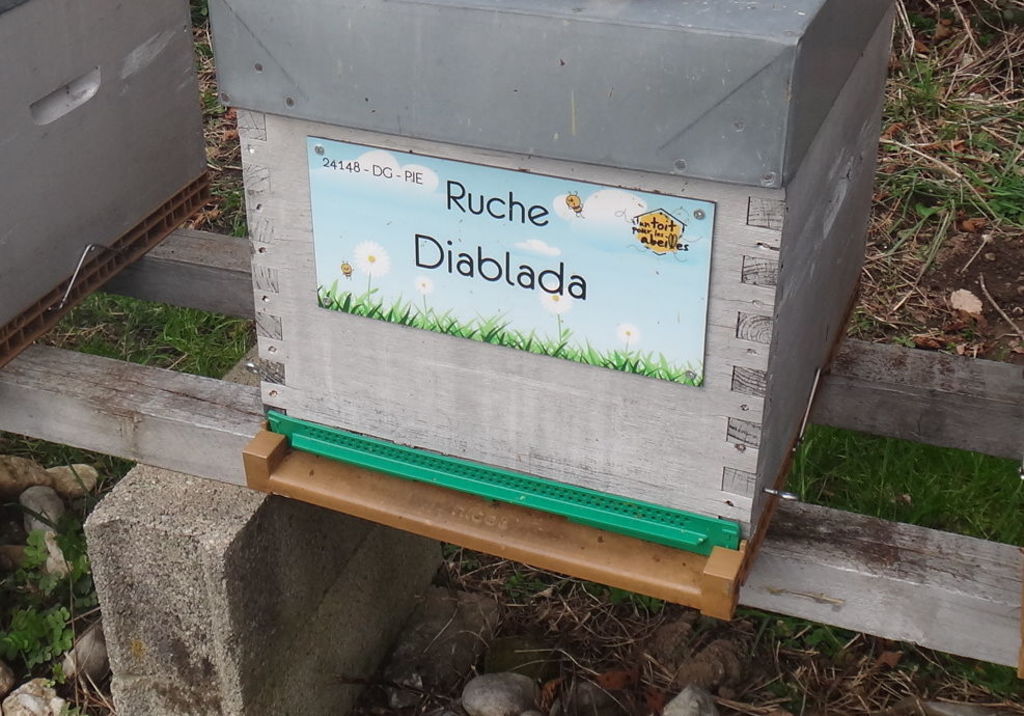 La ruche Diablada
