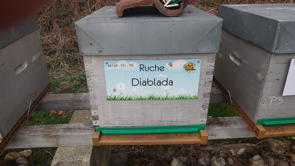 La ruche Diablada