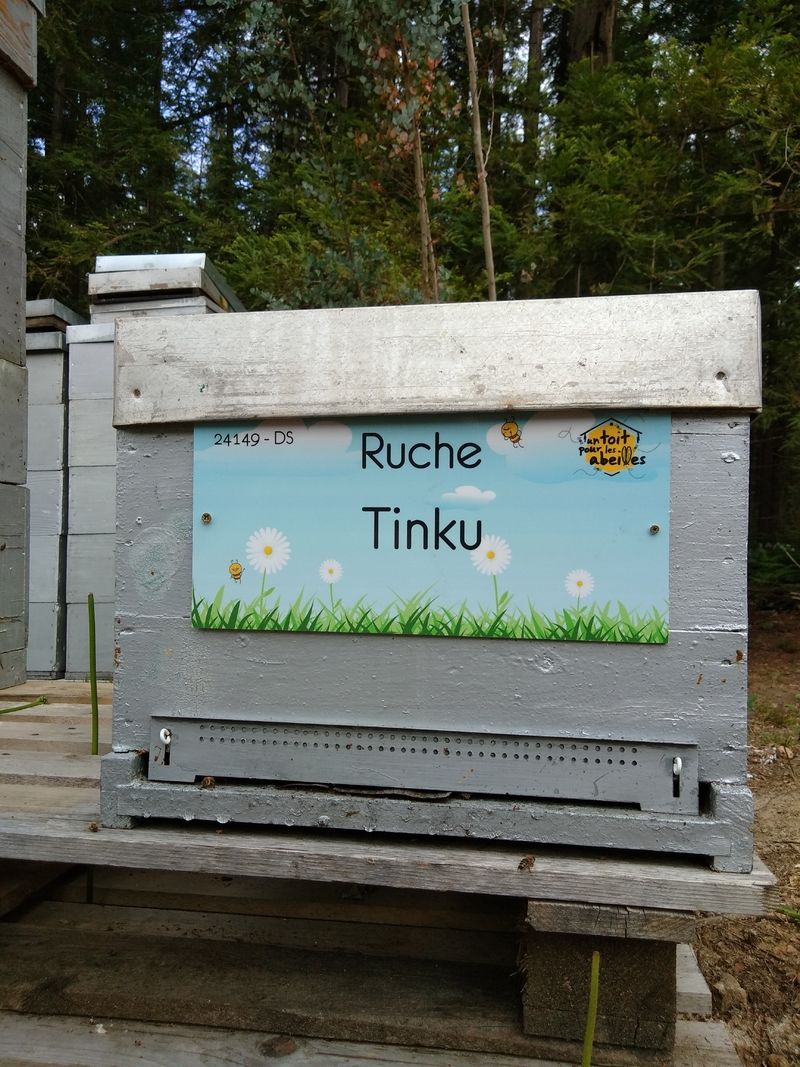 La ruche