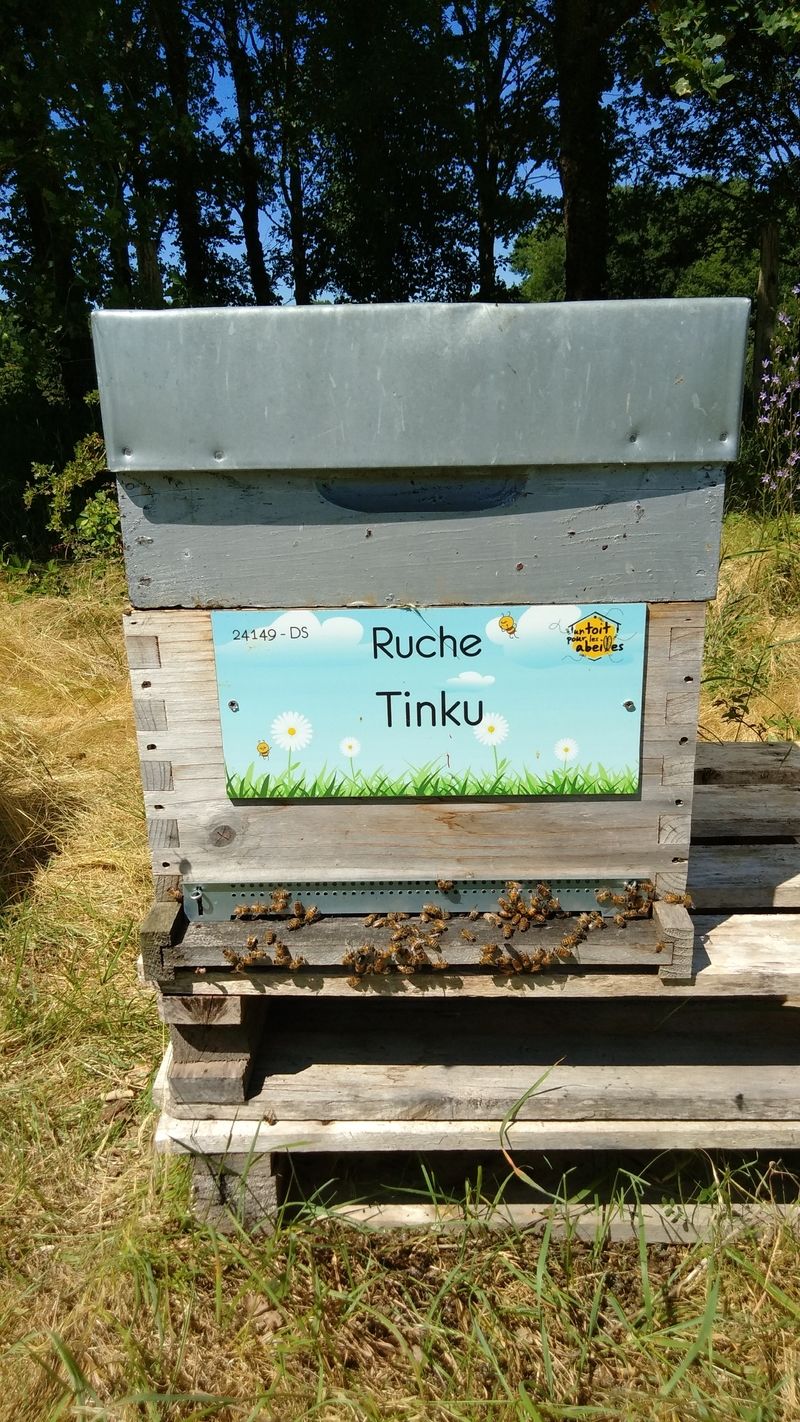 La ruche Tinku