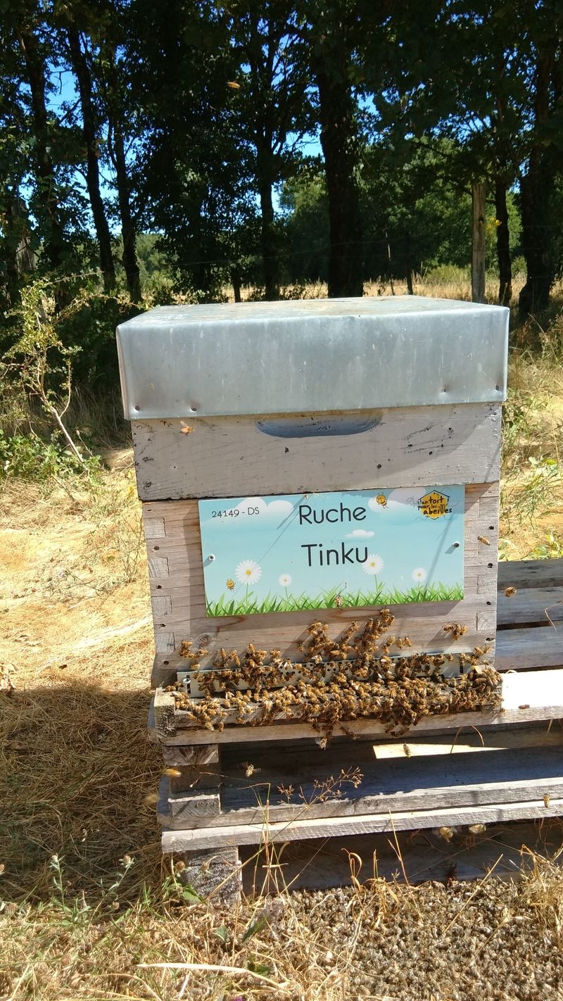 La ruche Tinku