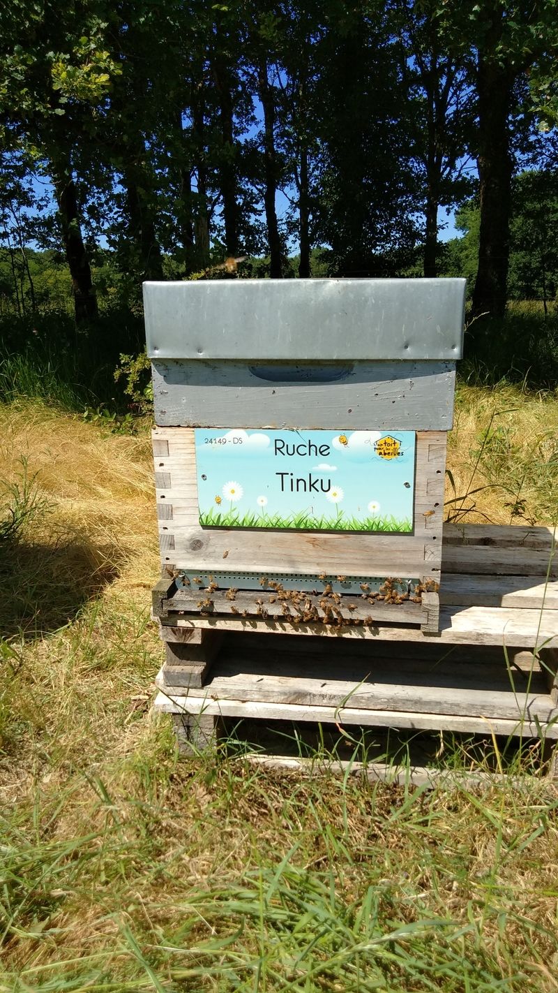La ruche Tinku