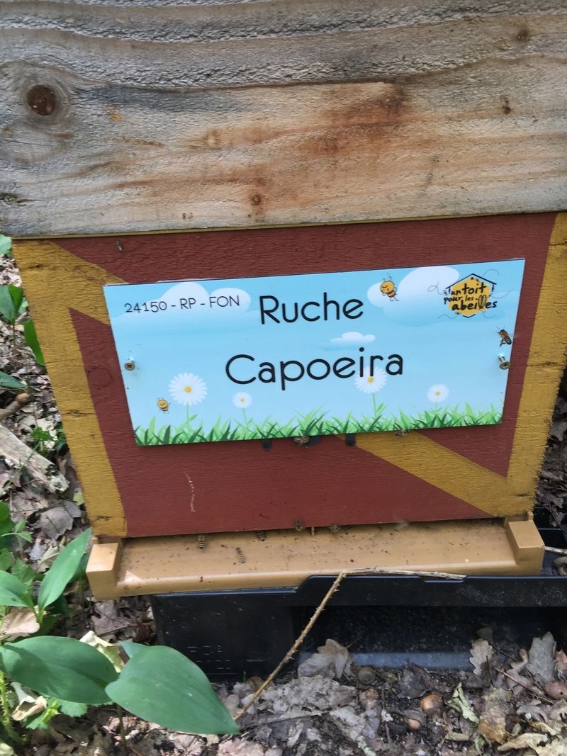 La ruche