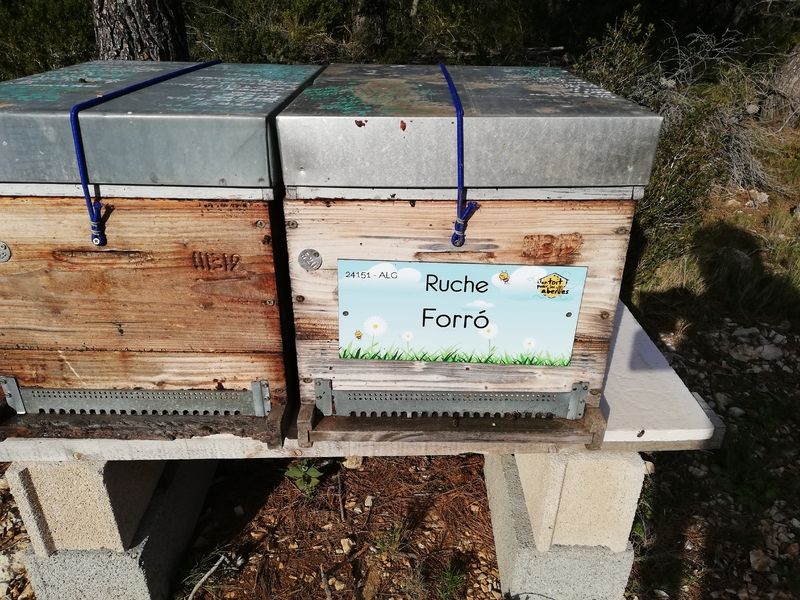 La ruche Forró