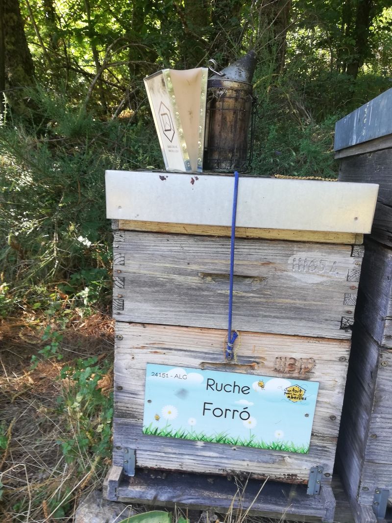 La ruche Forró