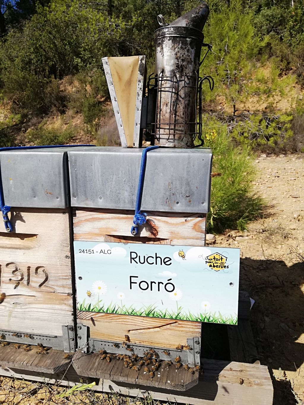 La ruche Forró