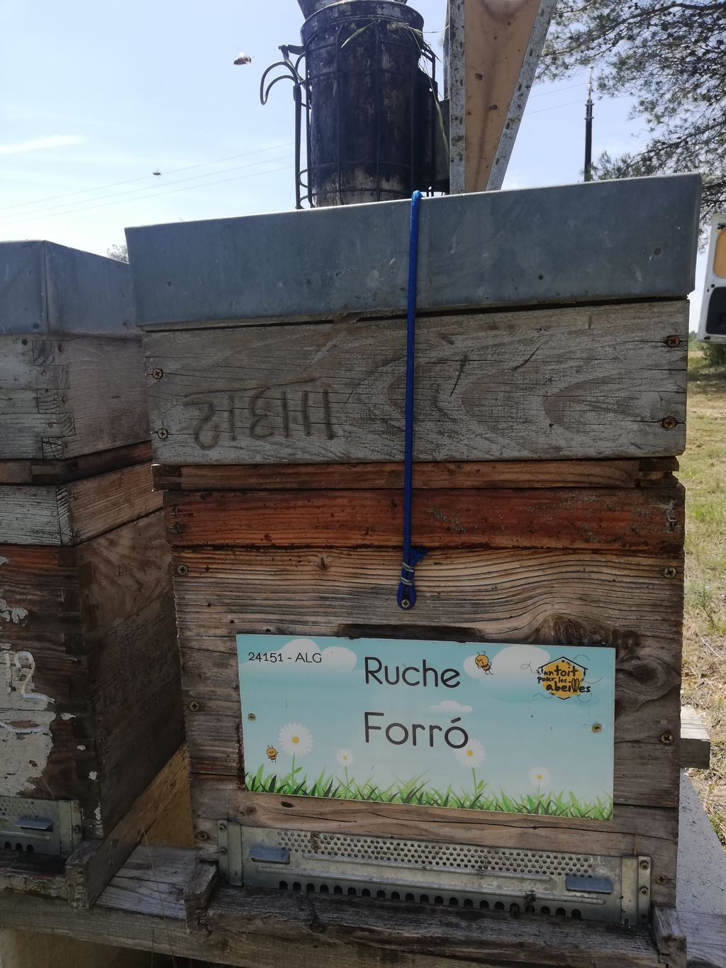 La ruche Forró