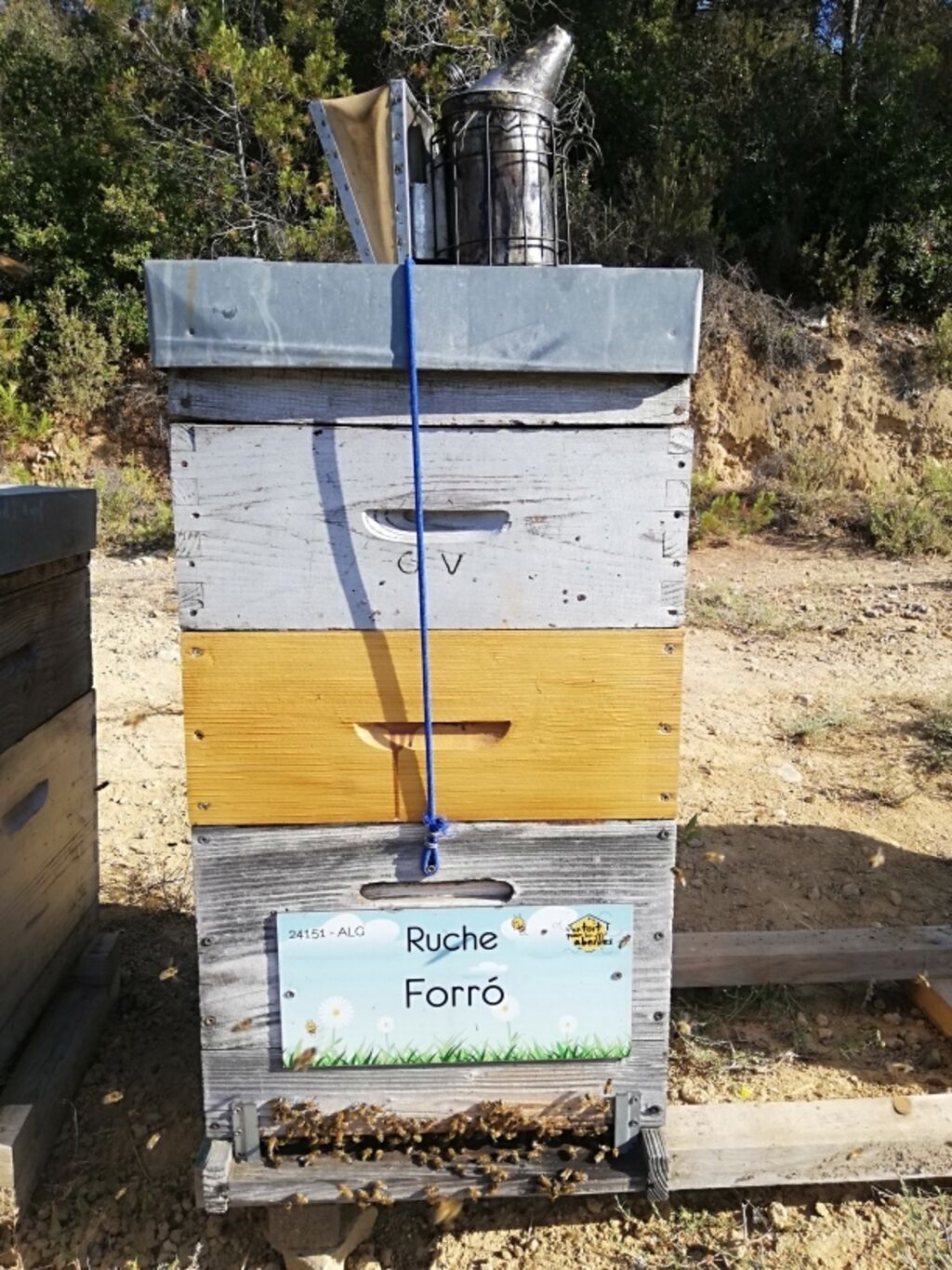 La ruche Forró