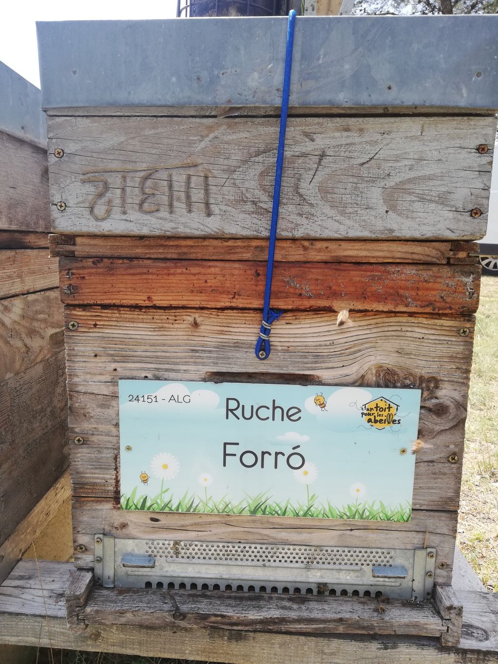 La ruche Forró
