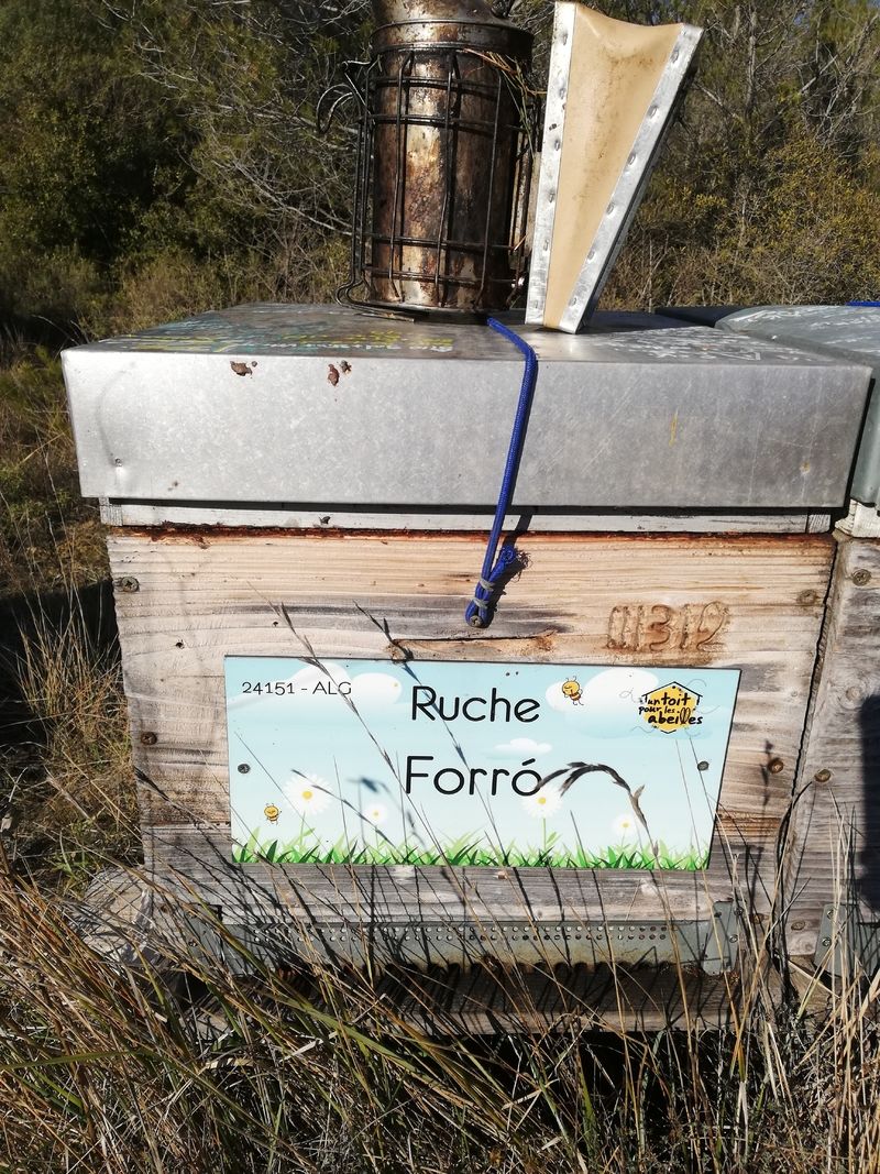 La ruche Forró